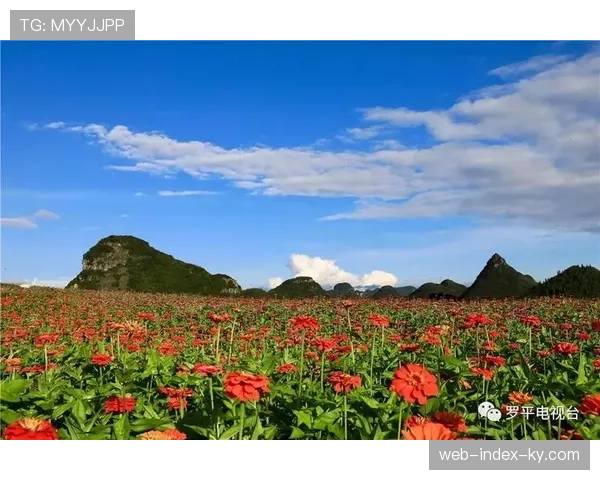 云南玉昆胜场含金量十足 大胜传统豪门展现实力上限 云南玉昆胜场含金量十足 大胜传统豪门展现实力上限